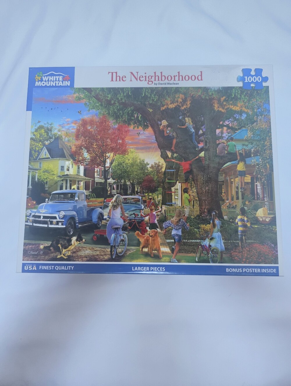 White Mountain The Neighborhood 1000 Piece Puzzle David MacLean 1908